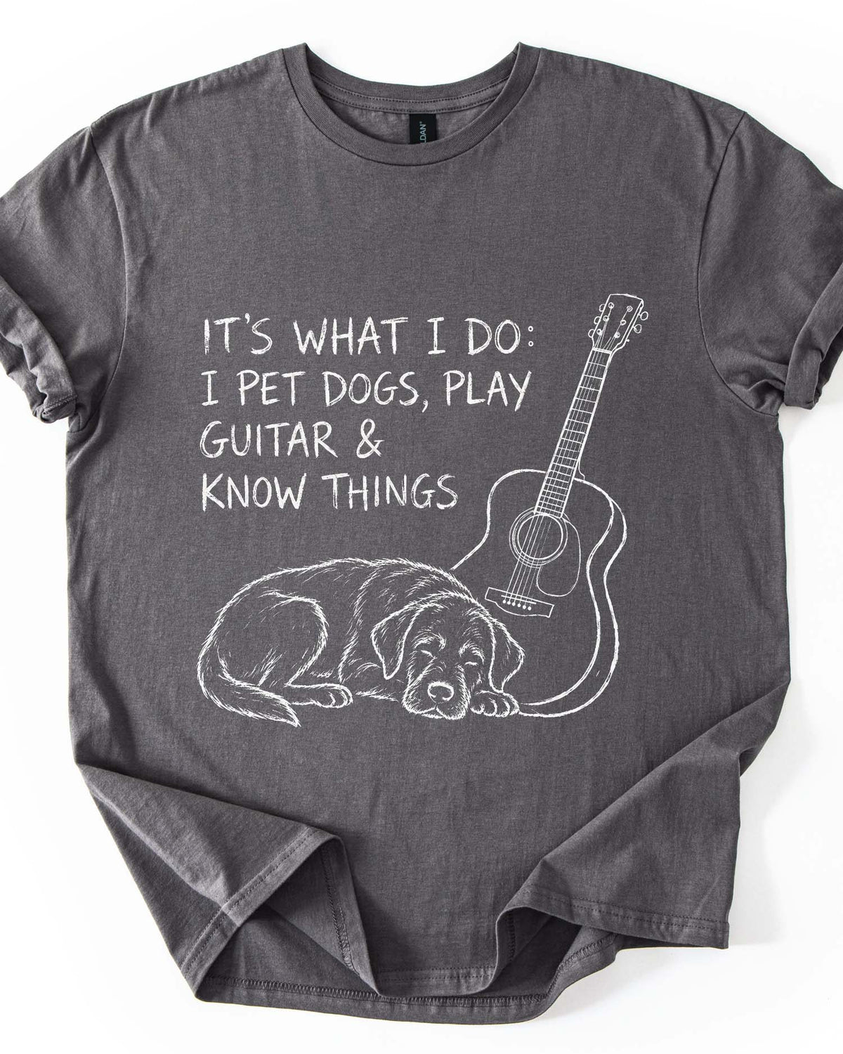 I Pet Dogs & Play Guitar Funny Tee