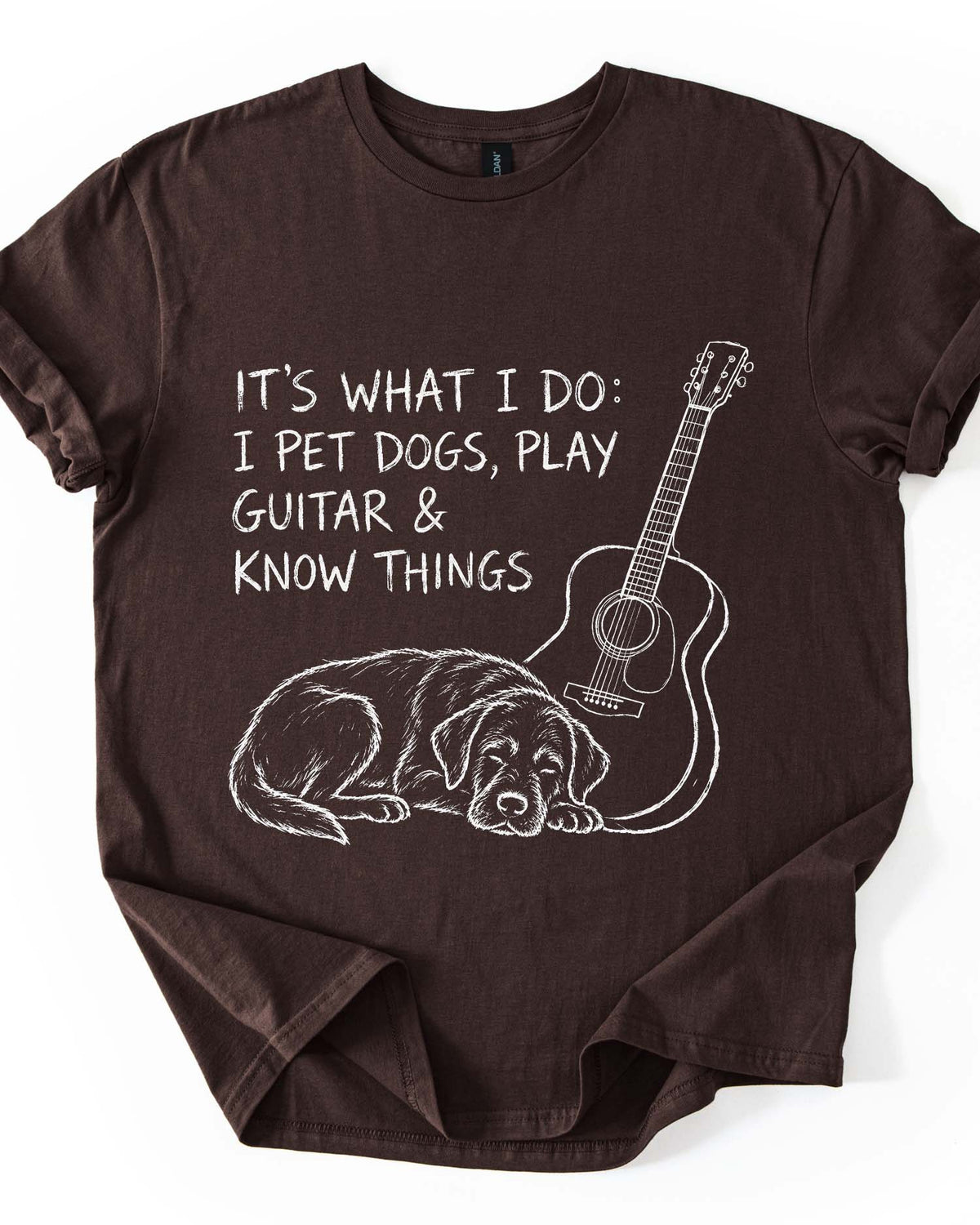 I Pet Dogs & Play Guitar Funny Tee